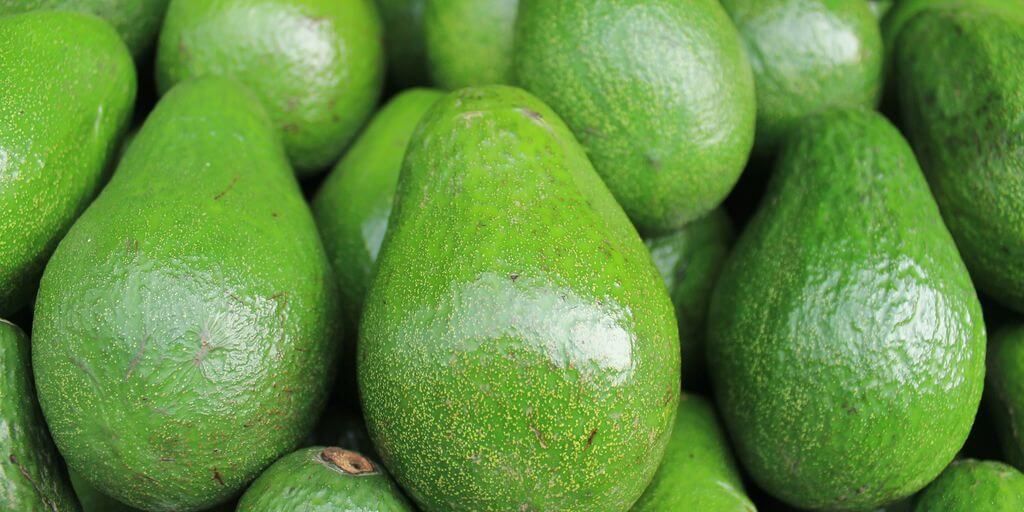Avocado