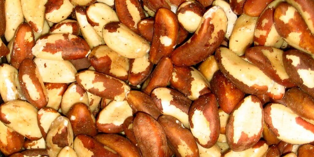 Brazil Nuts