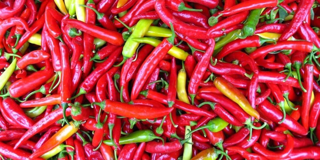 Cayenne