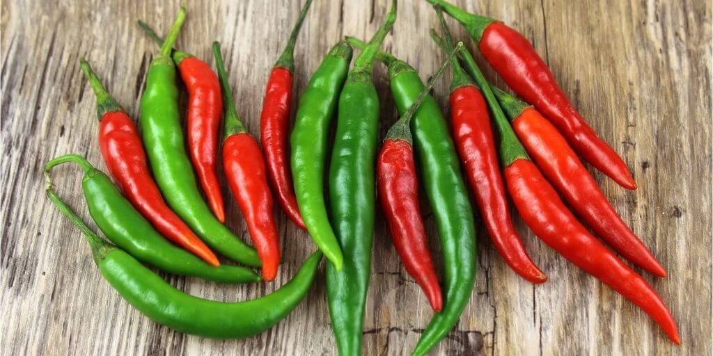 Chilli Peppers