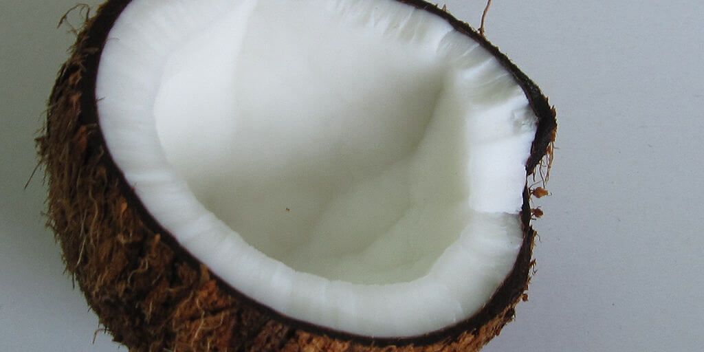 Coconut