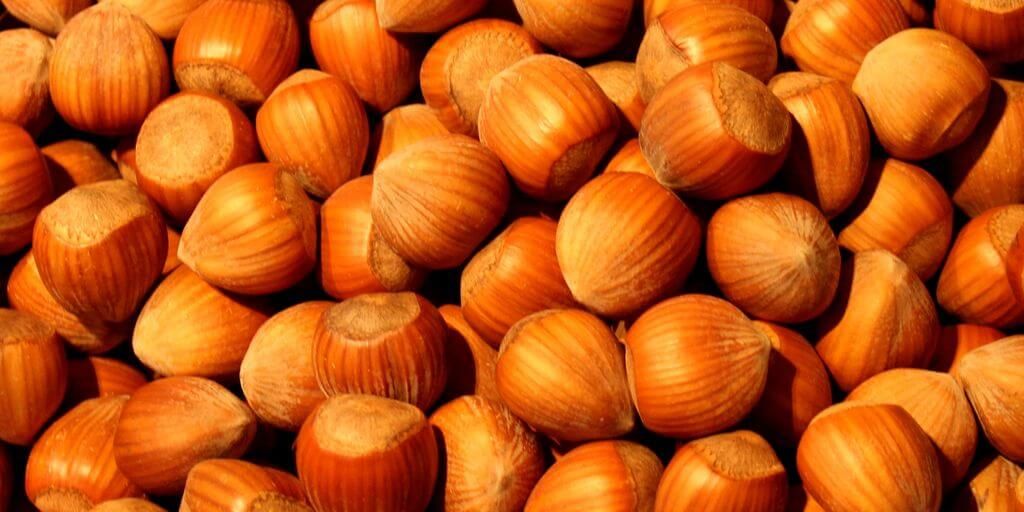 Hazelnuts