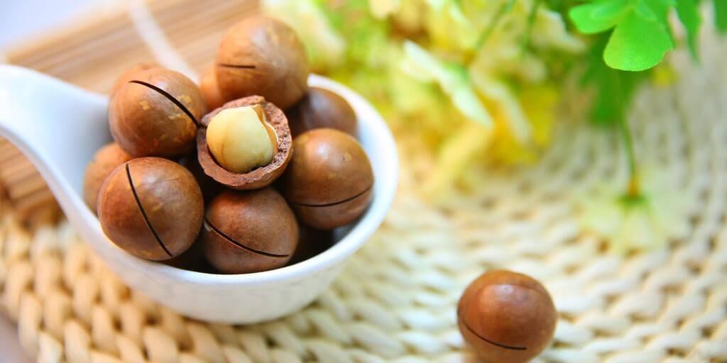 Macadamia Nuts