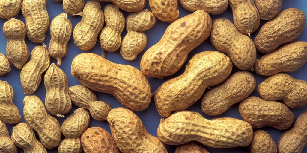 Peanuts