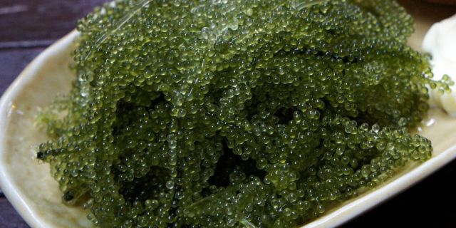 Spirulina