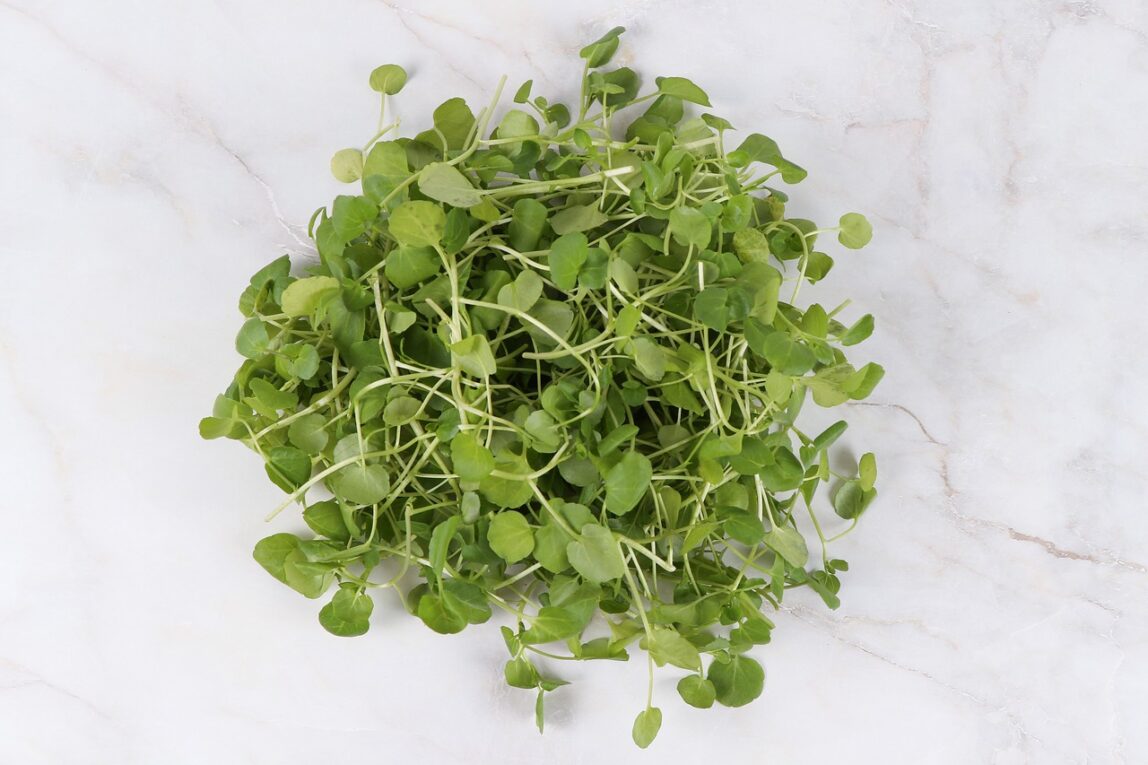 Watercress